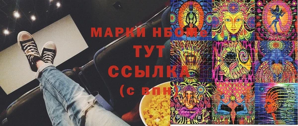 стаф Горняк