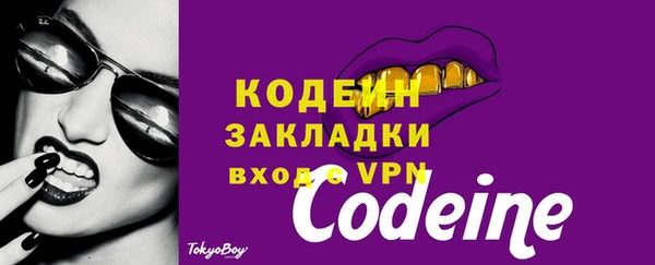 мдпв Горнозаводск