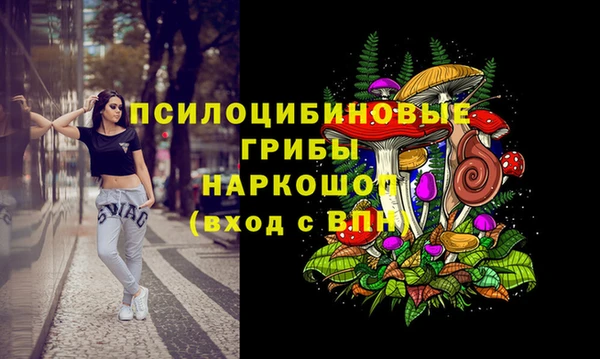 бошки Горно-Алтайск