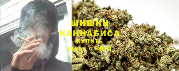 стаф Горняк