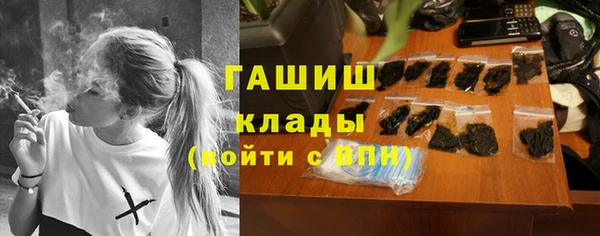 мдпв Горнозаводск
