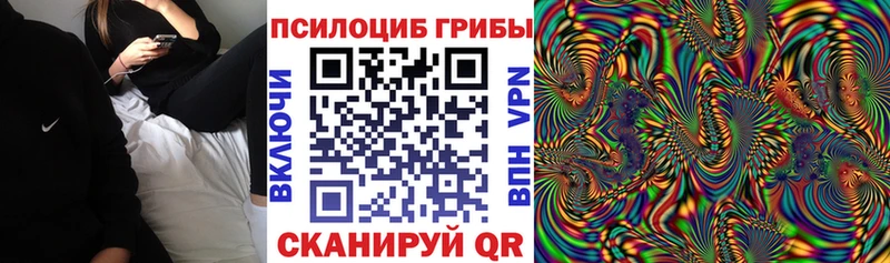 ОМГ ОМГ маркетплейс  наркота  Одинцово  Псилоцибиновые грибы Psilocybe 